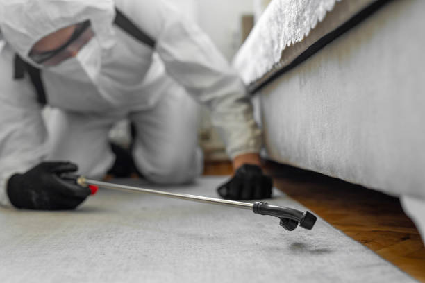 Professional Pest Control technician working in Shiloh, IL