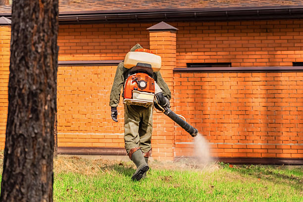 Trusted Emergency Pest Control service in Shiloh, IL - Nex Pest Control